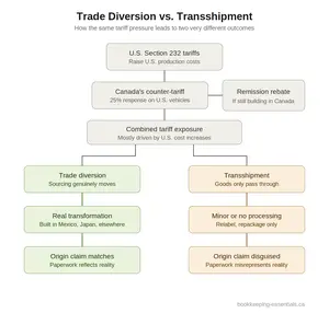 Infographic of Trade Diversion vs Transshipment