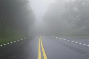 Wet road shown disappearing in dense fog. 