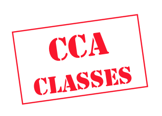 CCA Rates by Class