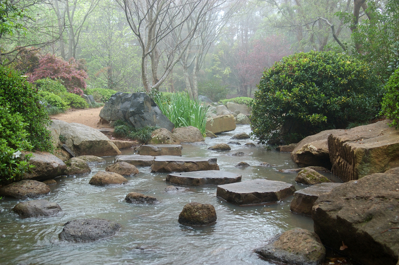 Navigating through difficult circumstances