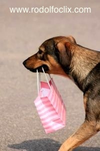 Personal shopping expenses
