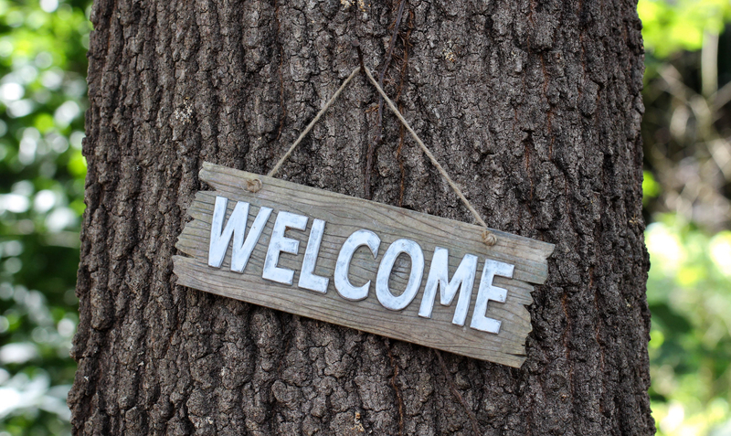 rustic welcome sign nailed to a tree rustic welcome sign nailed to a tree