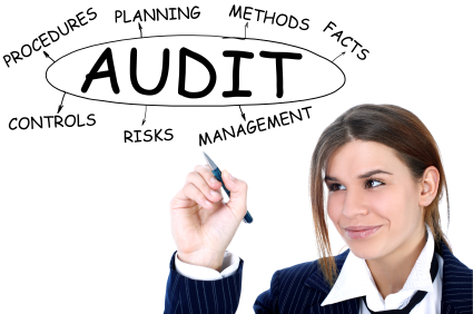 Understanding Tax Audits in Canada