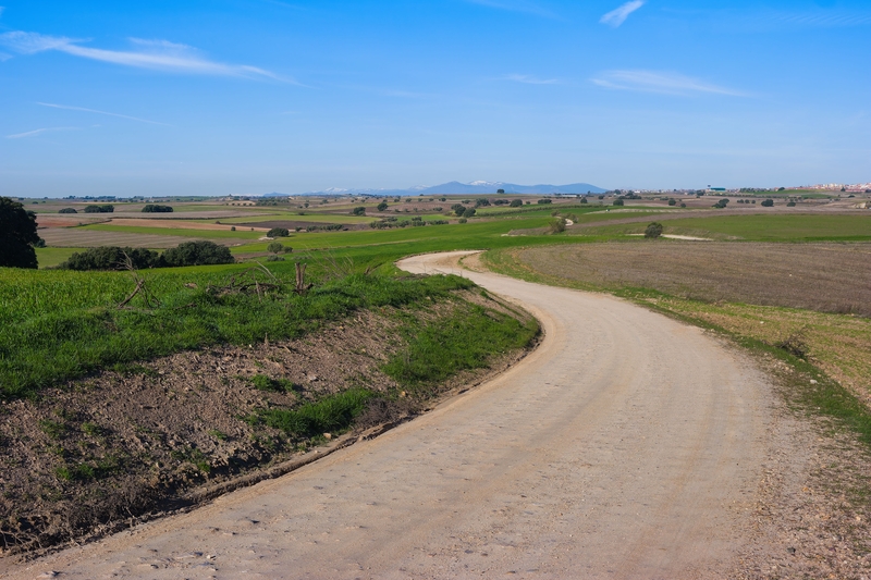 A winding dirt road symbolizing  the journey to building resilience in your business