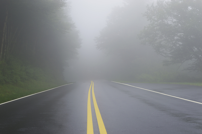 Wet road shown disappearing in dense fog. 